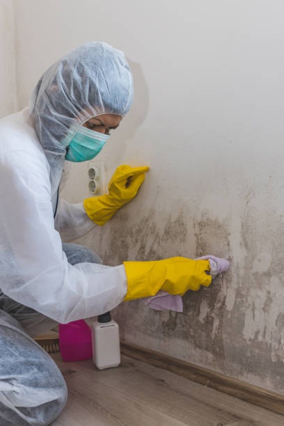 Best HVAC Mold Inspection and Cleaning  in Bentonville, AR